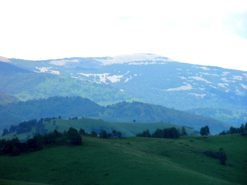 P7250333