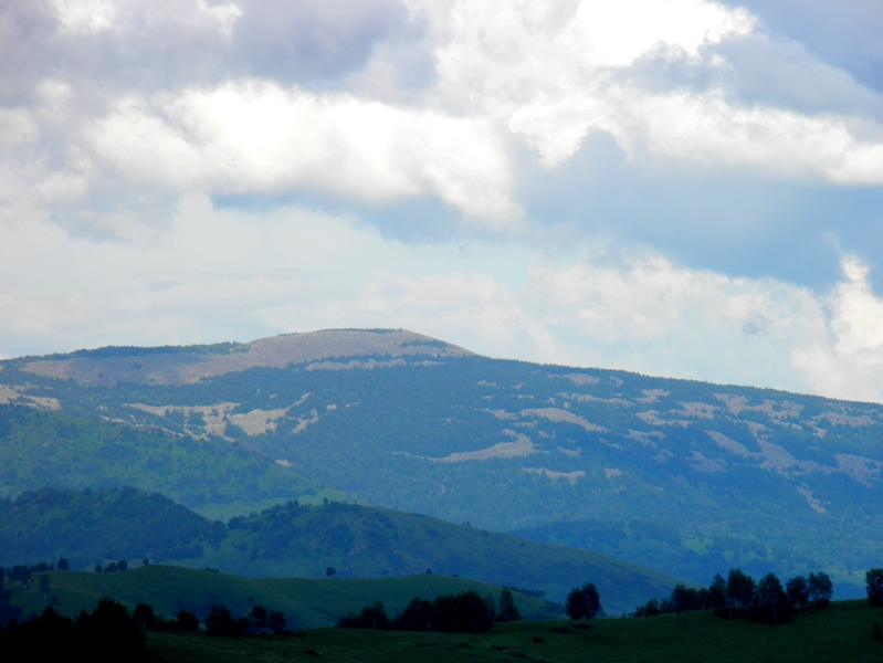 P7250335